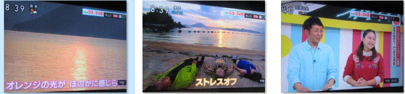 f0231709_11265862.gif