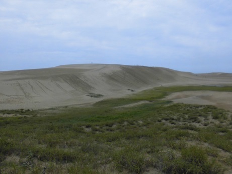 b0181818_10163514.jpg