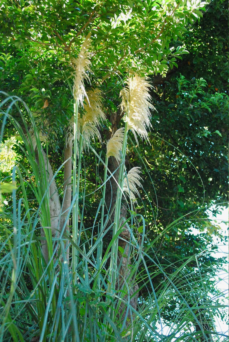 b0280025_2115529.jpg