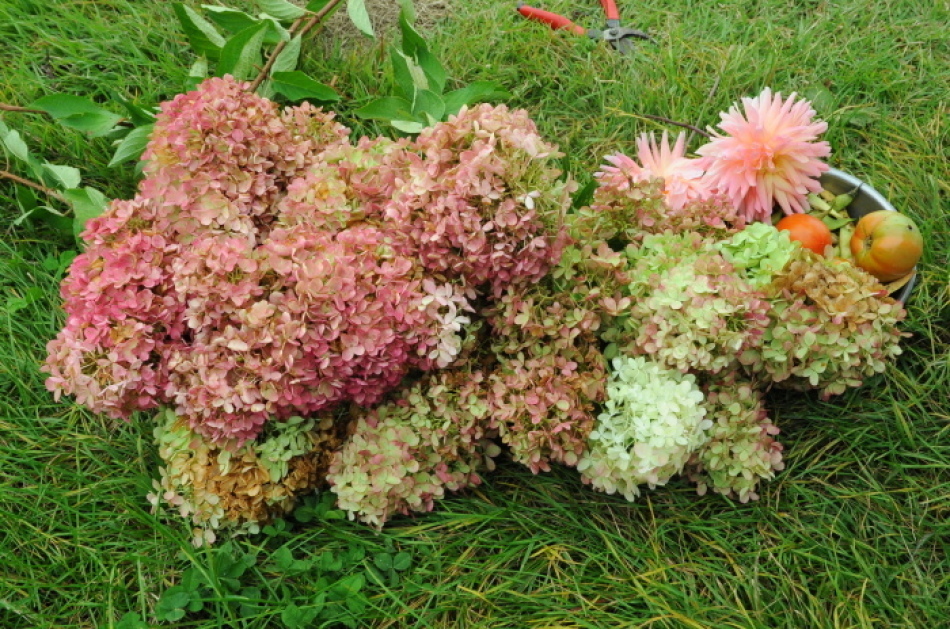 c0172234_21470363.jpg