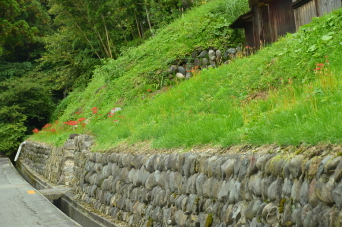 c0172234_21471152.jpg