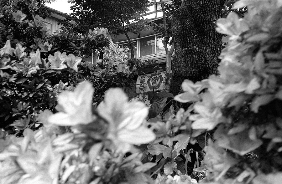 c0035245_23265099.jpg