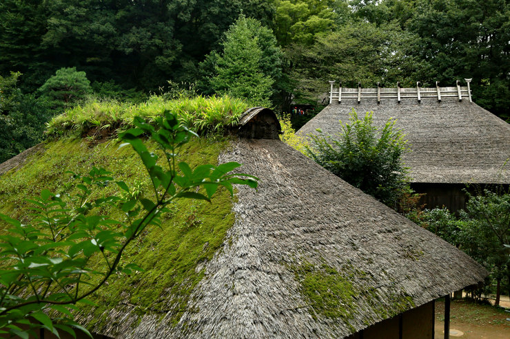 a0120949_8593086.jpg