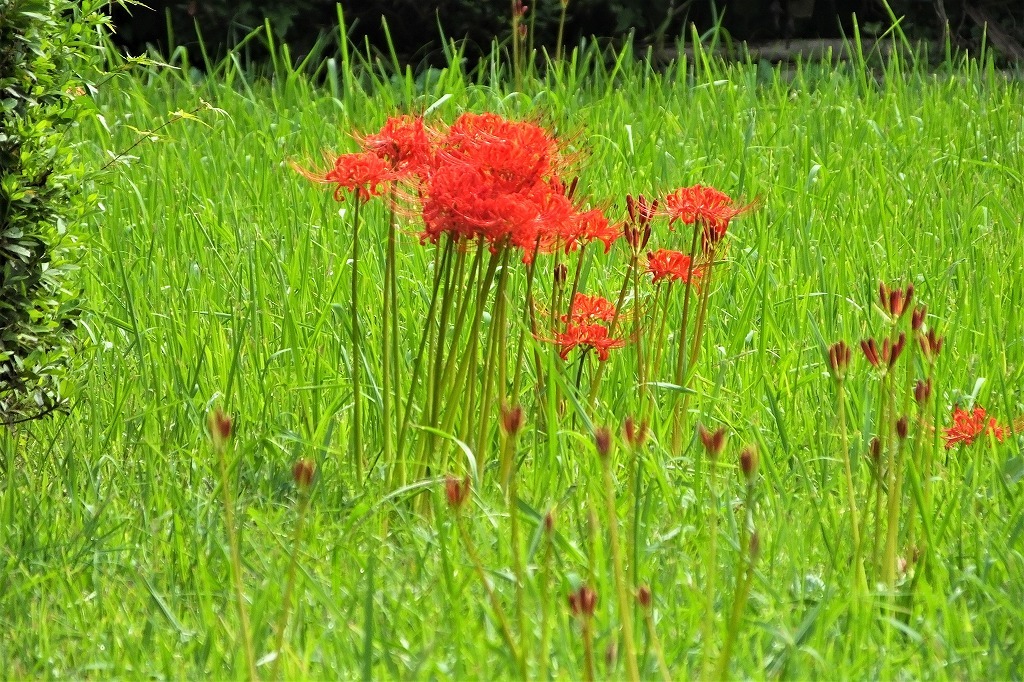 b0236251_11091417.jpg