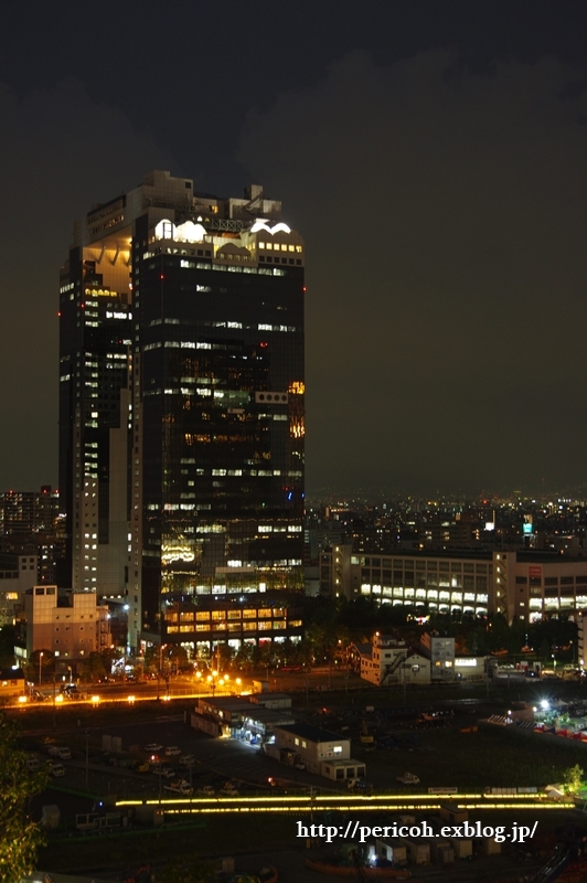 c0354758_23113545.jpg