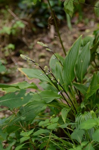 c0186463_22311306.jpg