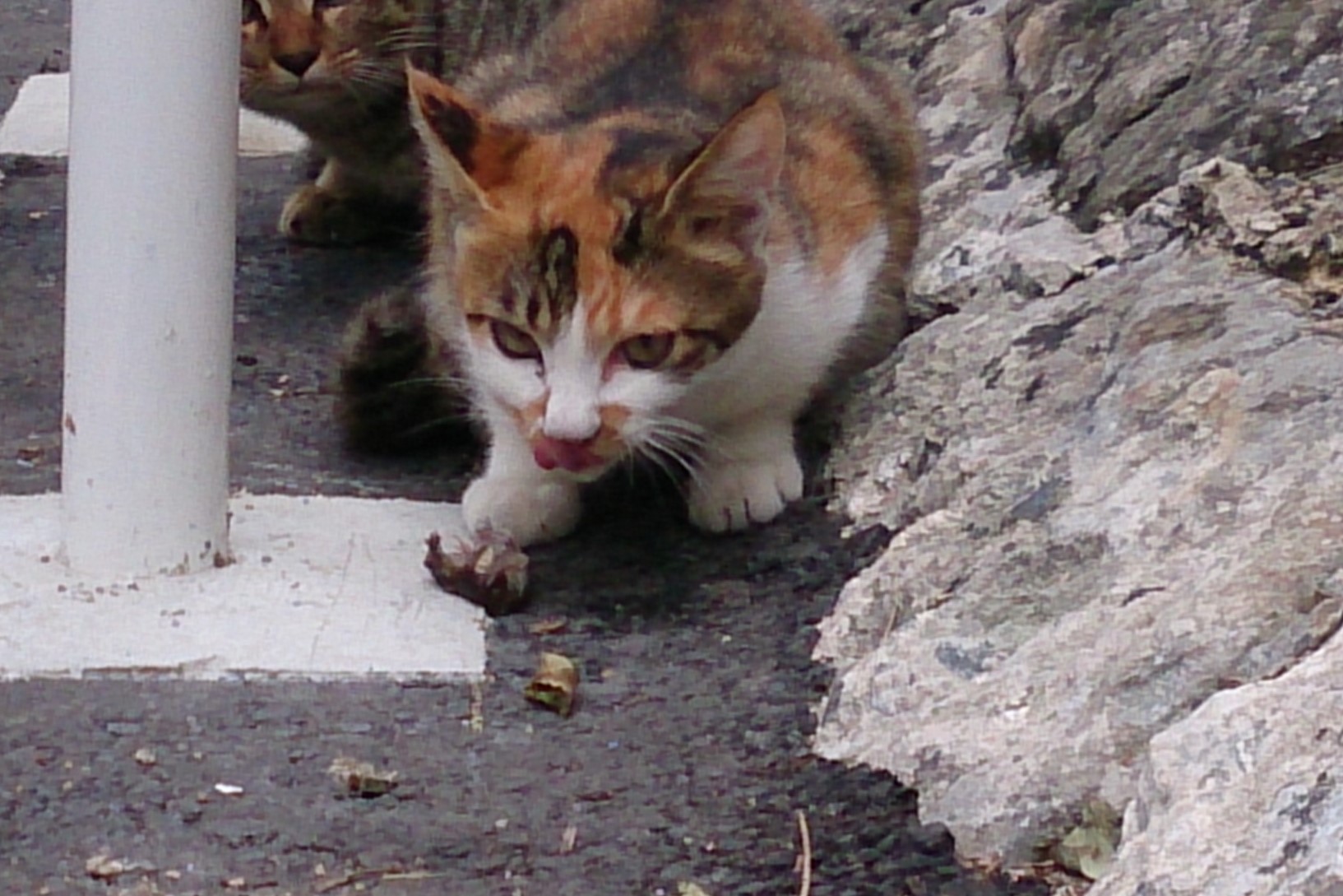 c0193077_0135853.jpg