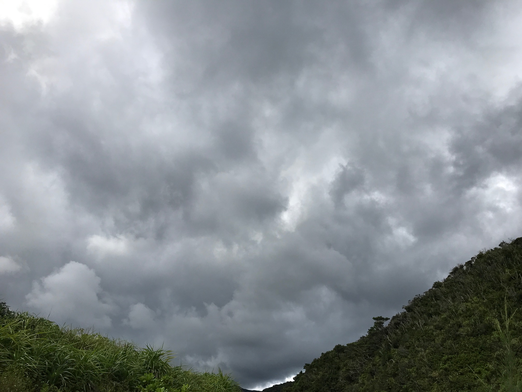 d0363878_13251073.jpg