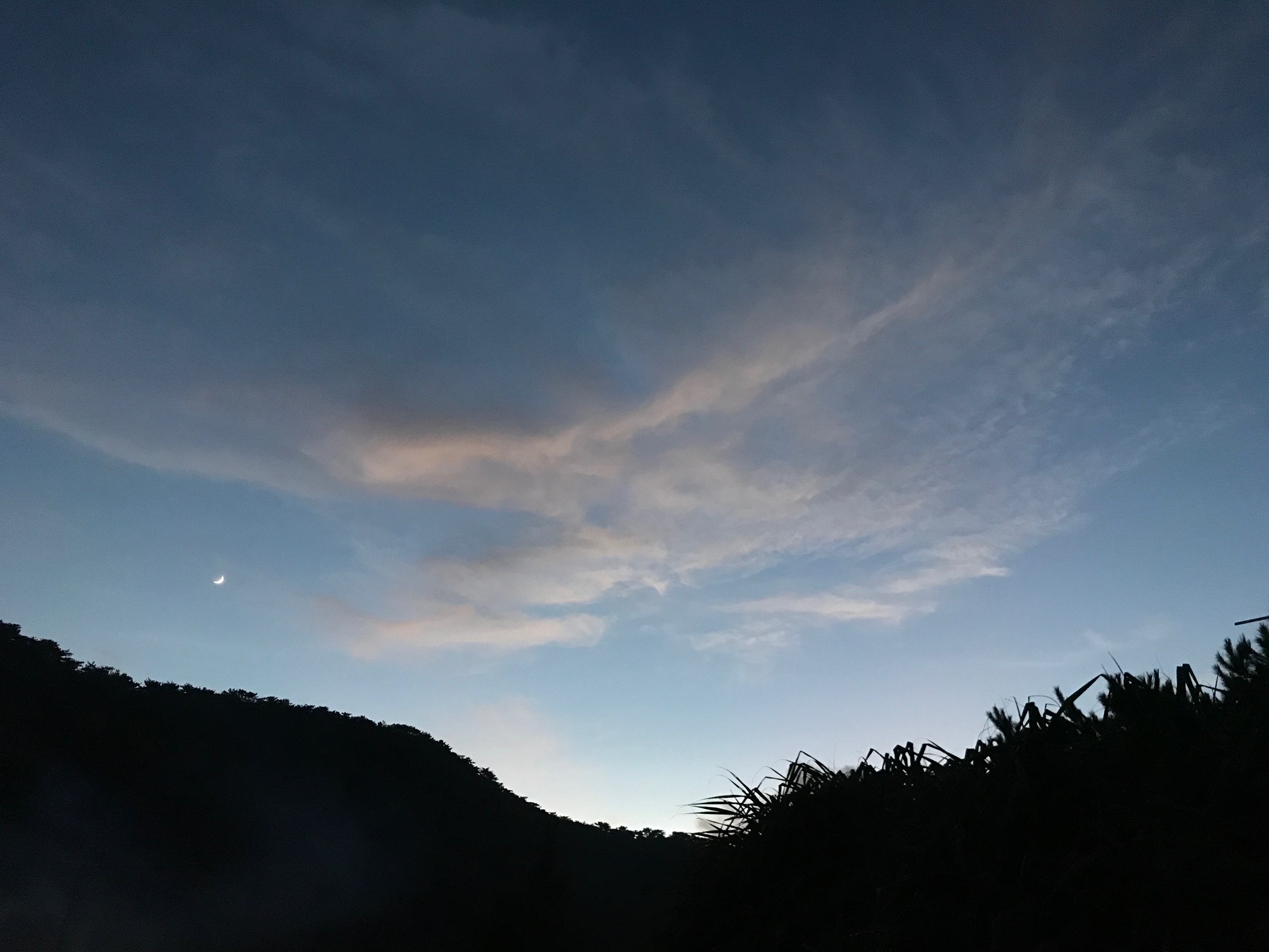 d0363878_20372424.jpg