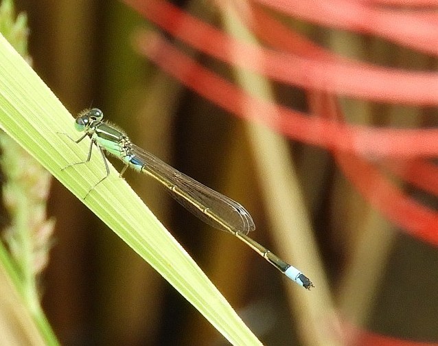 f0378979_17324896.jpg