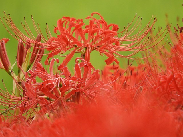 f0378979_17342297.jpg