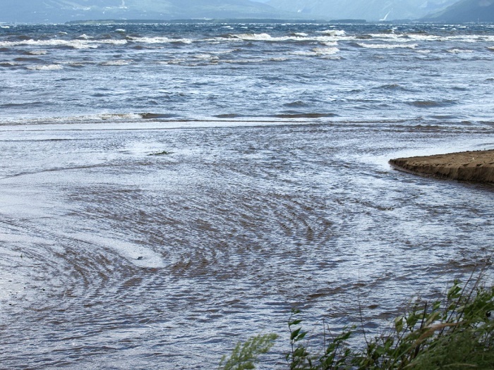d0344982_23554458.jpg