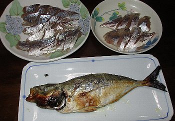 f0003283_08155969.jpg