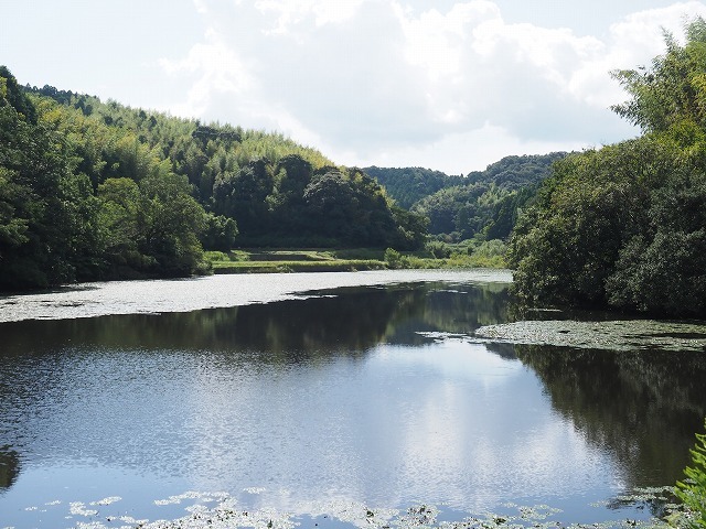 d0156387_21425718.jpg