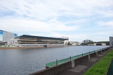 d0183387_00504630.jpg