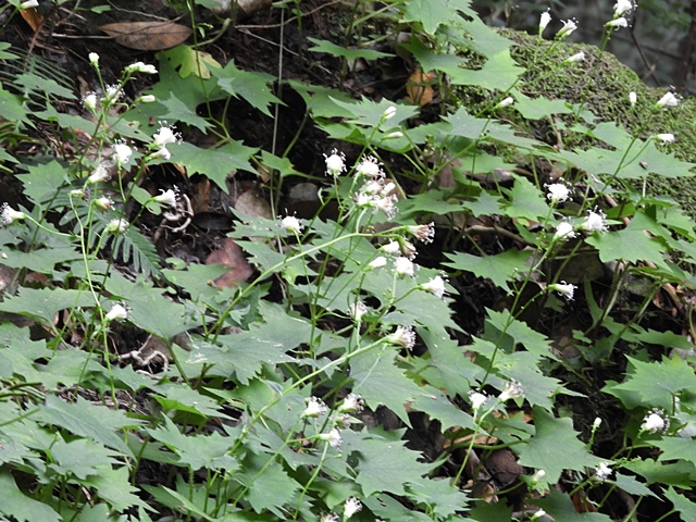 f0357487_003784.jpg
