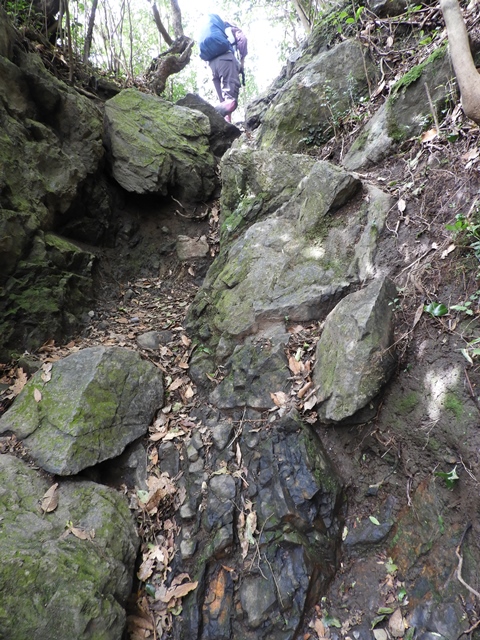 f0357487_0215854.jpg