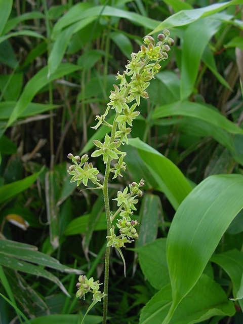 f0357487_0244290.jpg