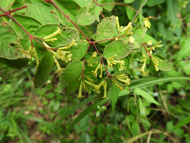 f0357487_20172756.jpg