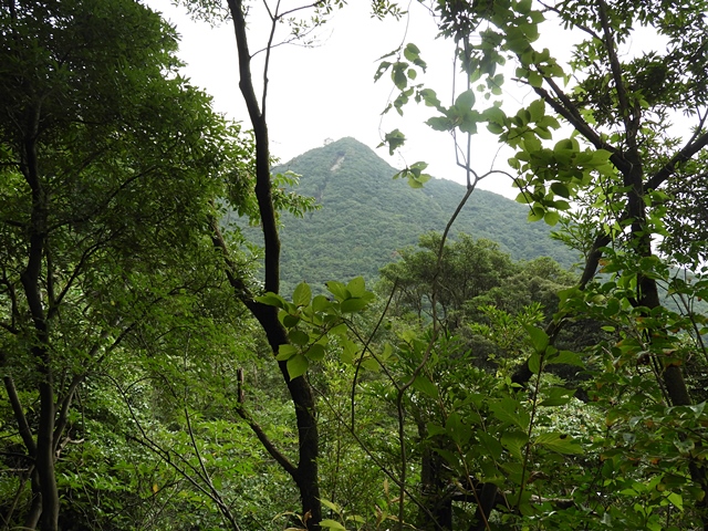 f0357487_2021336.jpg