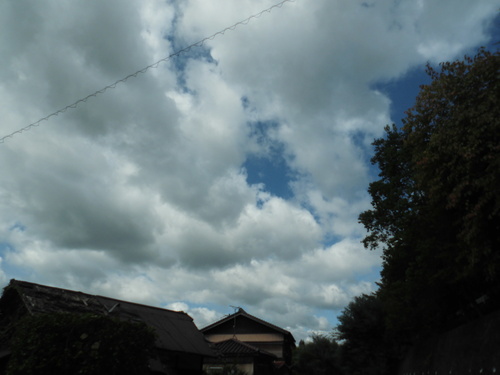 c0108198_15515856.jpg