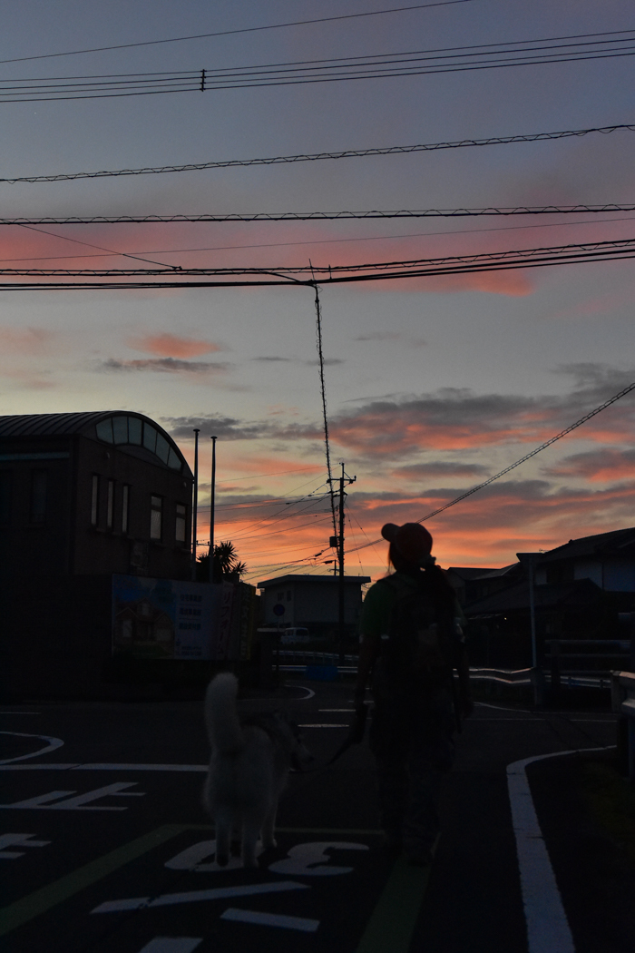 c0049299_22555267.jpg