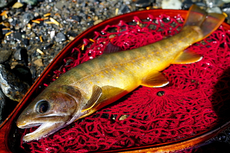 c0339900_14112193.jpg