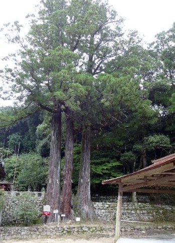 b0273309_16233250.jpg