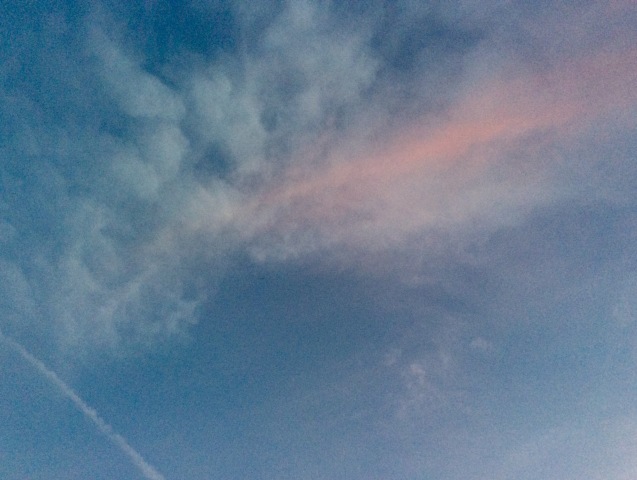b0344816_21211574.jpg