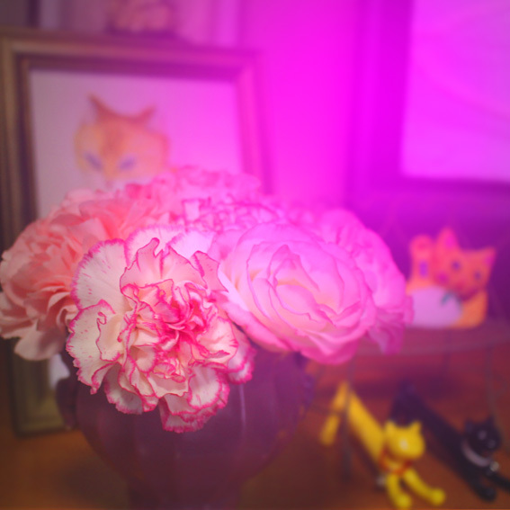 a0329820_00063111.jpg