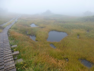 c0227720_23534689.jpg
