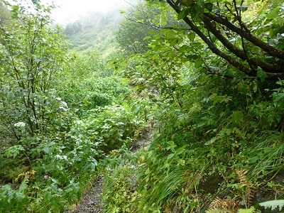c0227720_23555264.jpg