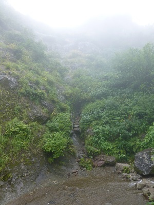 c0227720_23561712.jpg