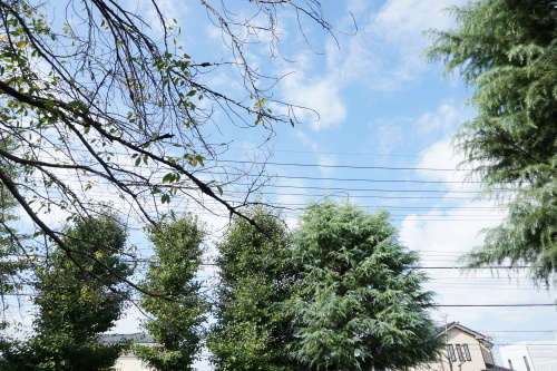 f0128821_19414335.jpg