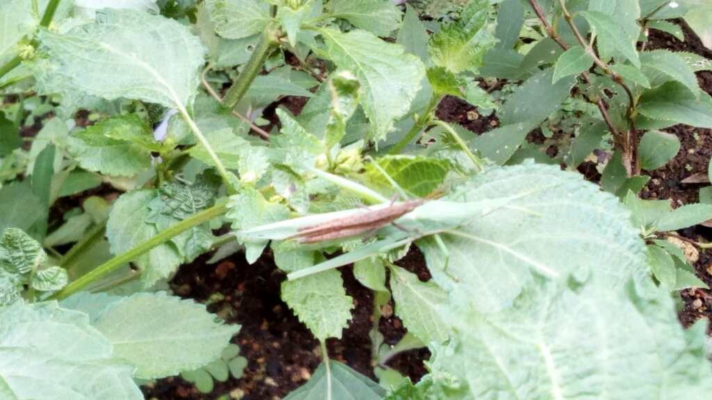 e0164825_09151451.jpg