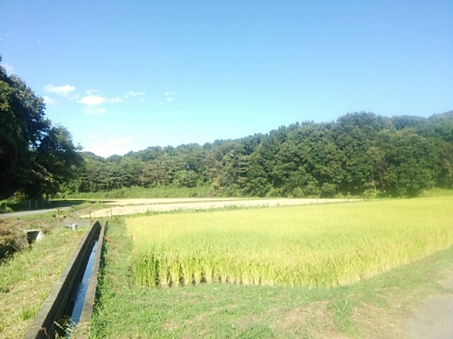 f0329129_13104745.jpg