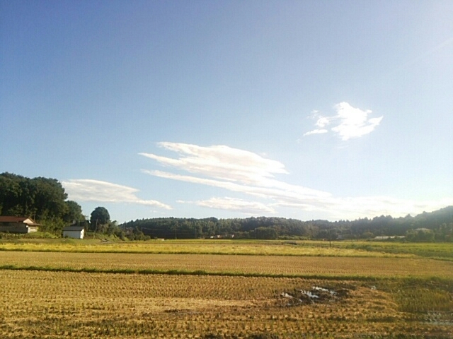 f0329129_13104884.jpg