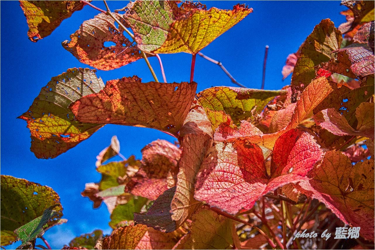 a0245331_19381171.jpg