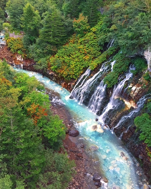 a0344937_22283502.jpg