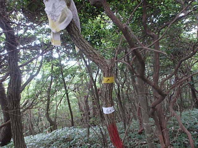 f0334143_18324050.jpg