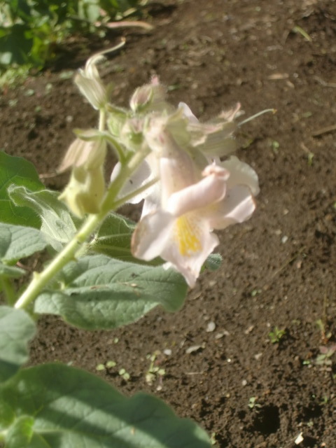 f0329849_17120399.jpg