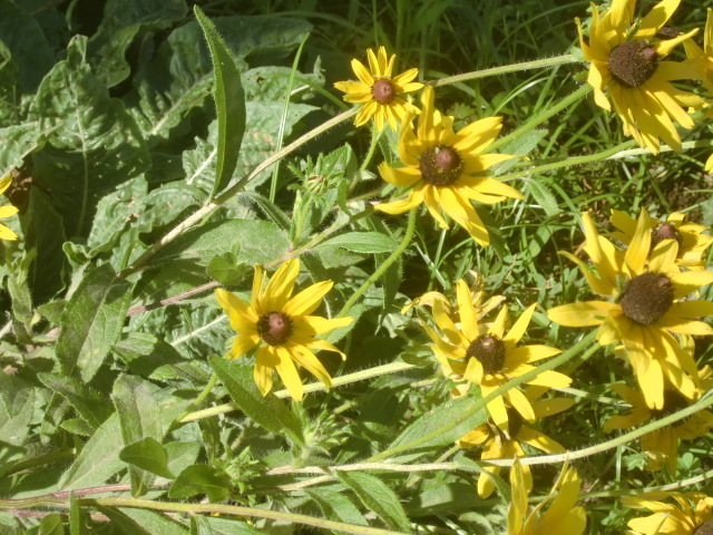 f0329849_17125306.jpg