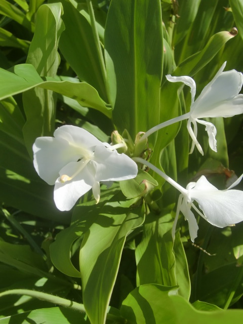 f0329849_17141316.jpg