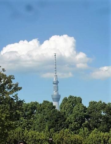 f0329849_17514673.jpg