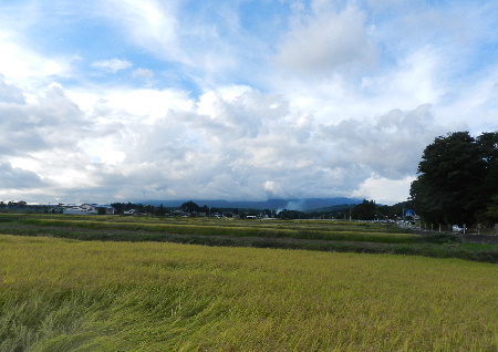 e0172950_20193099.jpg