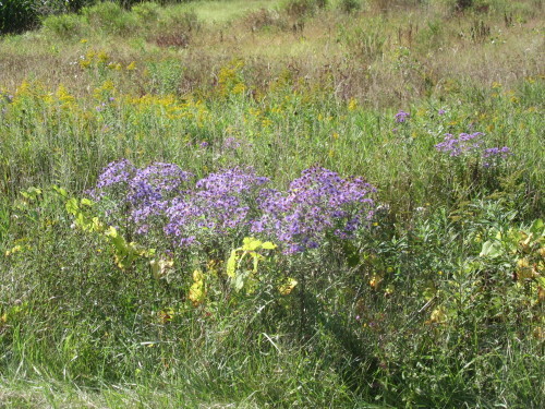 b0247153_10020819.jpg