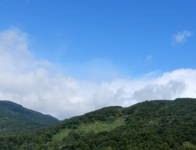 e0364056_2412798.jpg