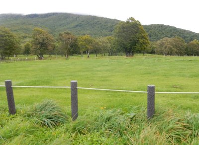 e0364056_242128.jpg