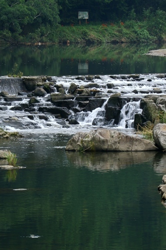 d0126577_21455834.jpg