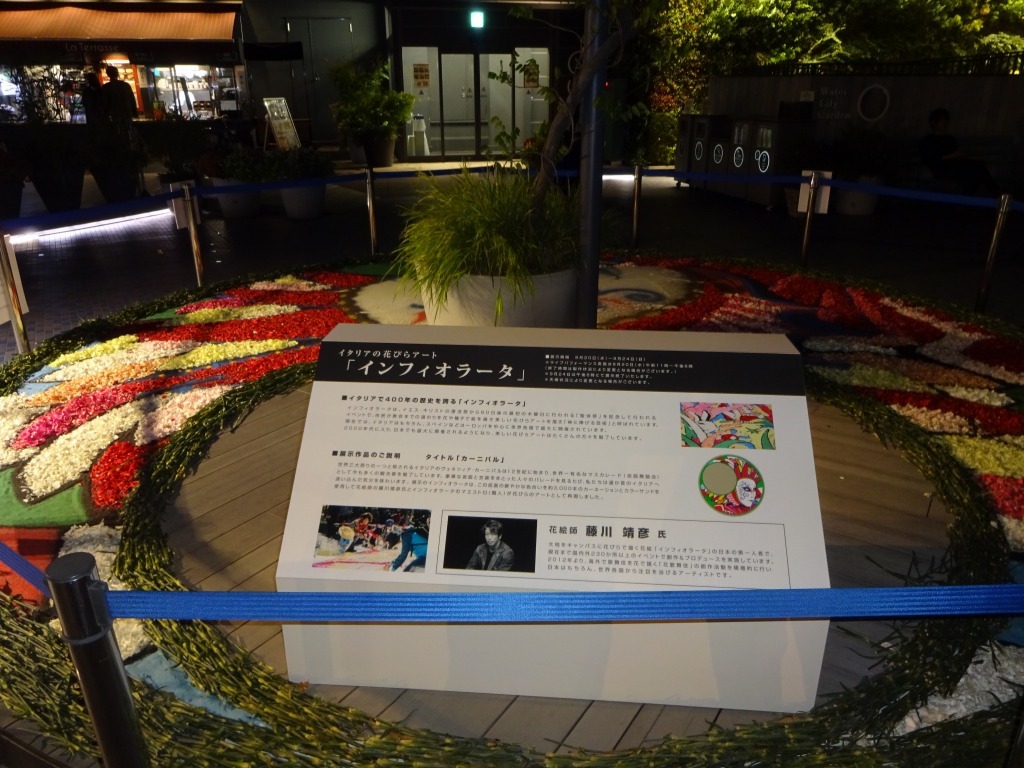 d0061678_17155092.jpg